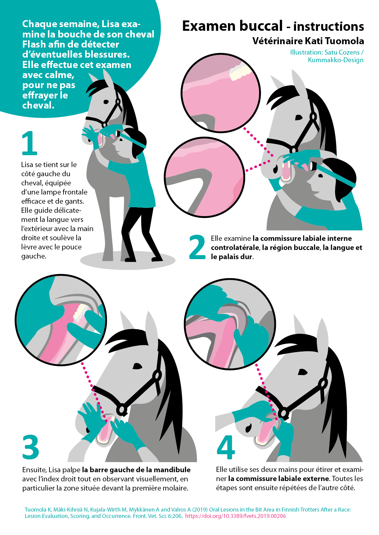 Mouth examination instructions Francais