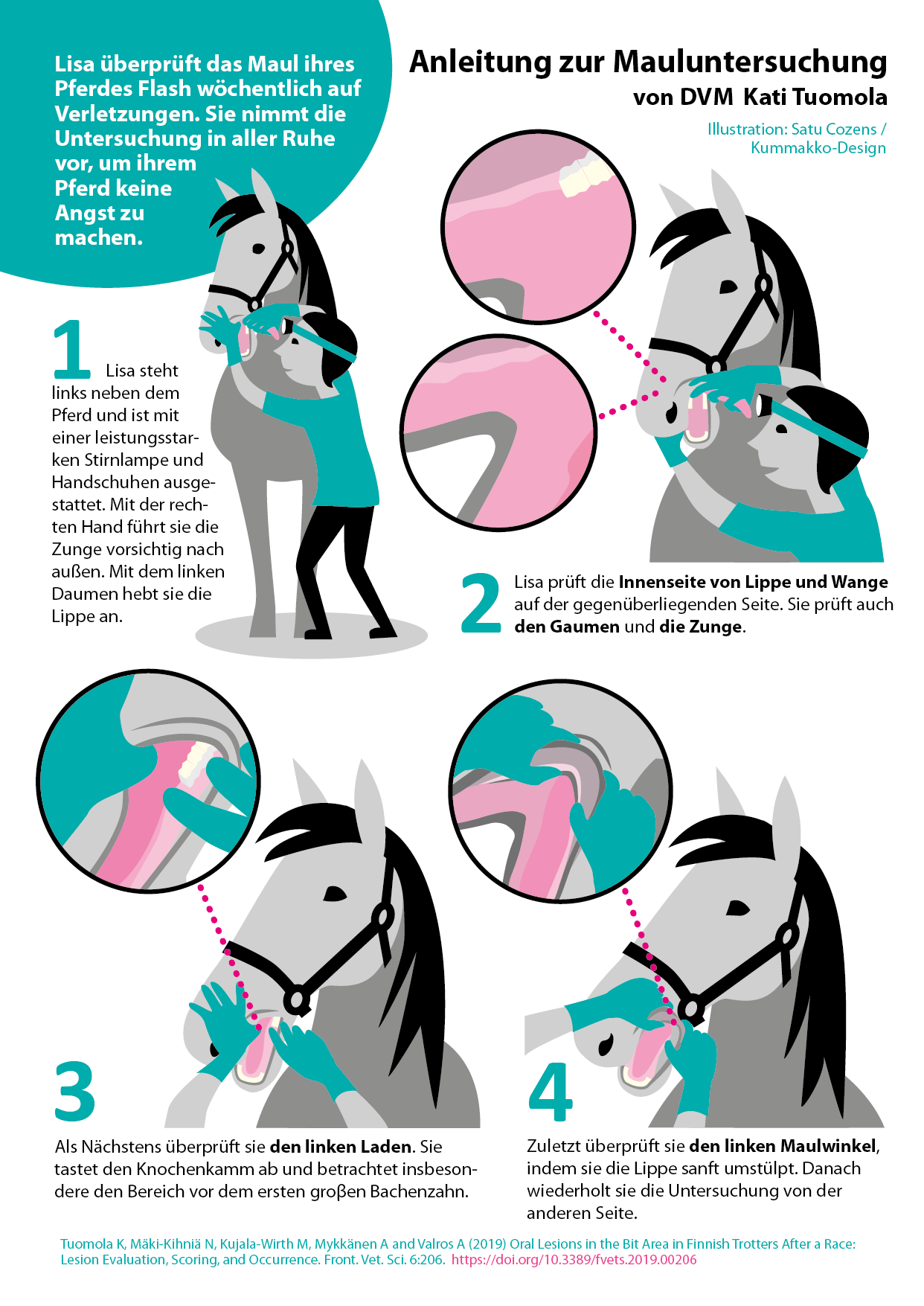 Mouth examination instructions German